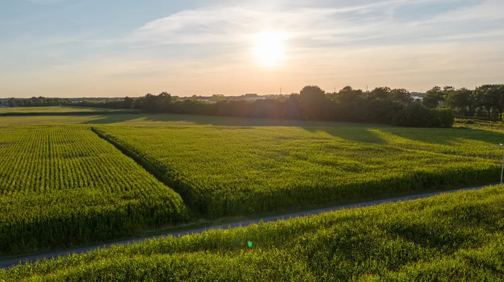 Co można wybudować na działce rolnej