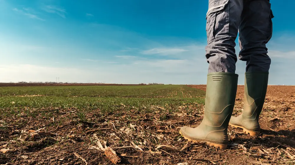 Co można wybudować na ziemii rolnej w 2025 roku