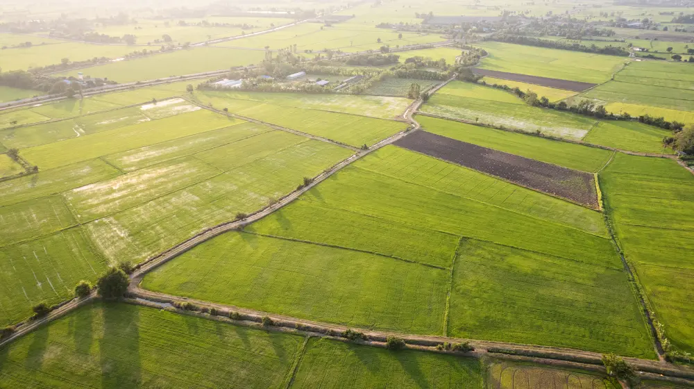 Co można wybudować na ziemii rolnej w 2025