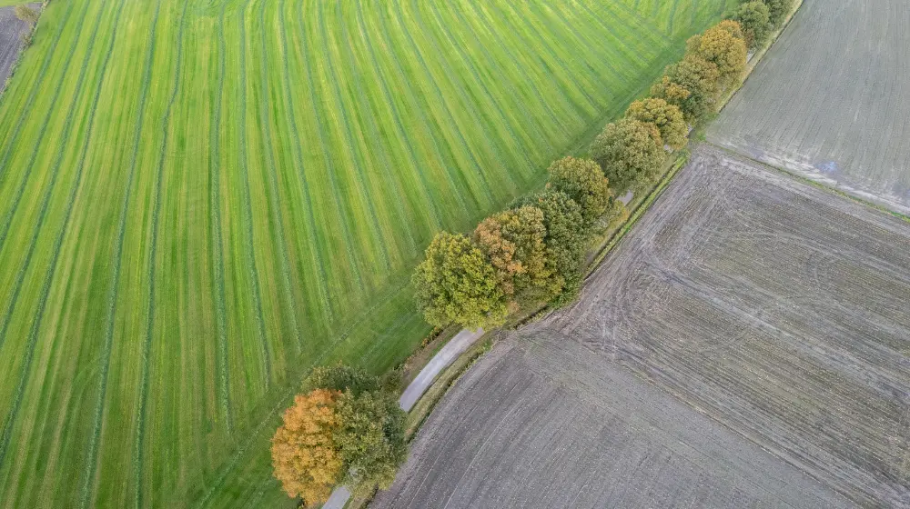 Działka rolna w 2025 roku - Co można wybudować