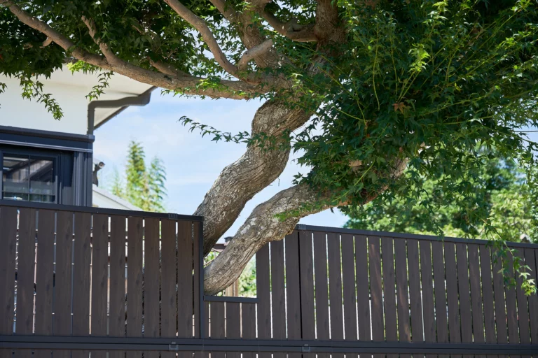 Odległość drzew od granicy działki