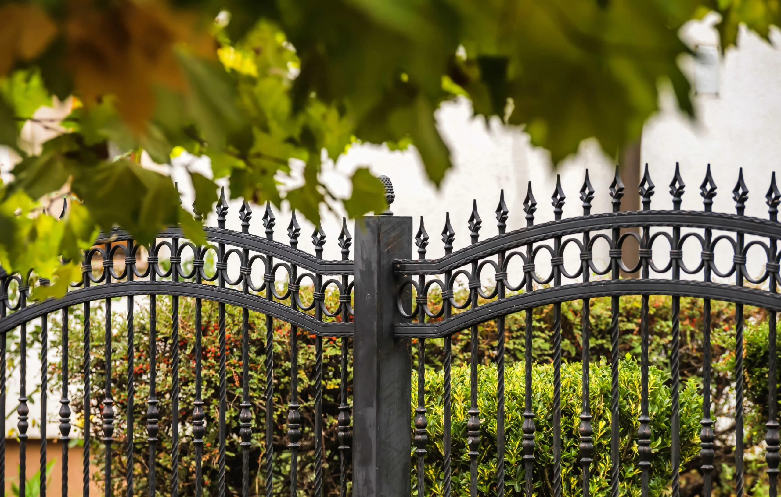 Odległość drzew od granicy działki