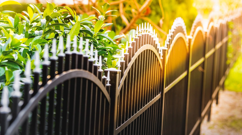 Odległość drzew od granicy działki